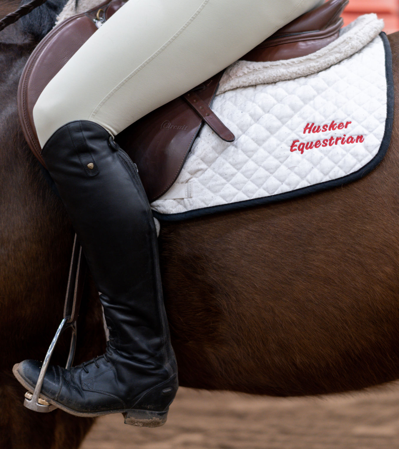 Horseback Riding Photo No. 9